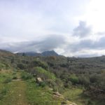 Trail with view while walking back up.